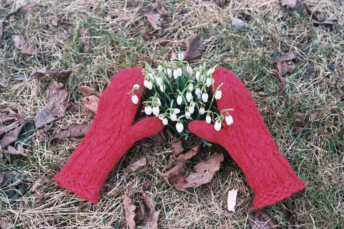 Knit Gloves